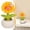 C, variant on Clearance Under $3 Sunflower Figurine Cactus Figurine Resin For Desk Zen Garden Shelf Succulent Decor (E) (1Pc)