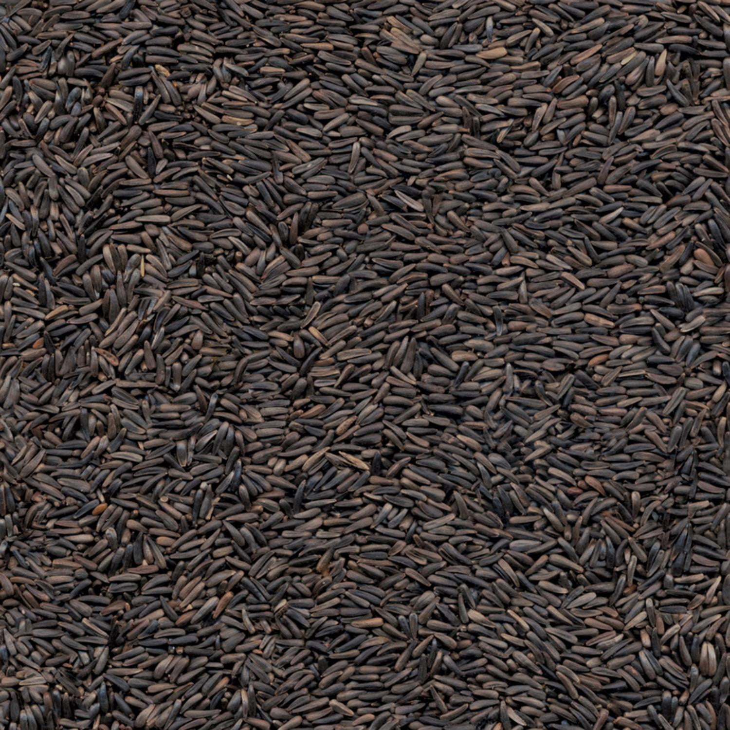 Free Shipping! Kaytee Nyjer 20 lb. Songbird Wild Bird Food
