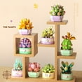 thumbnail image 5 of Succulents Plants Building Blocks for Adults,Succulents Building Kit Bonsai Botanical Collection, Office Room Home Decor, Creative Gift for Old Boys Girls Gifts, 5 of 5