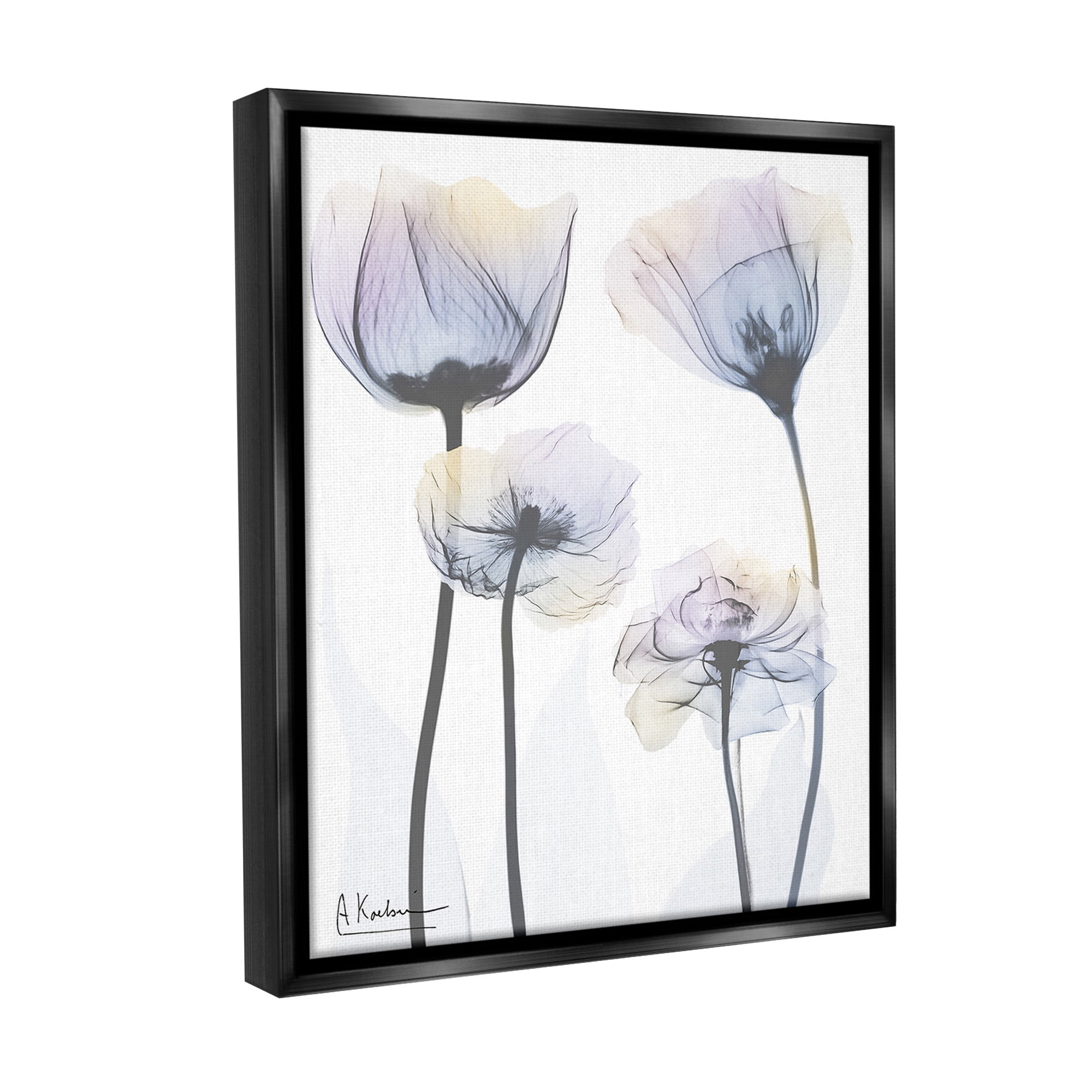 Stupell Industries Subtle Flower Shapes Botanical & Floral Photography Black Floater Framed Canvas Art Print Wall Art, 17 x 21