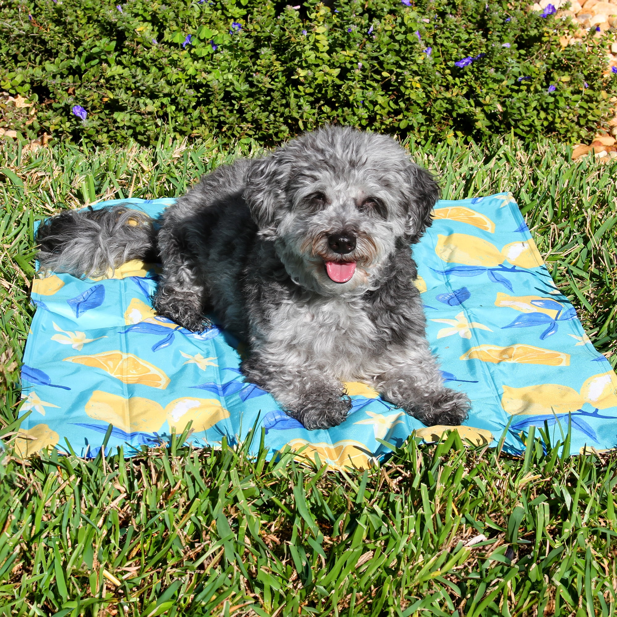 Vibrant Life Pet Gel Cooling Mat, Multicolor