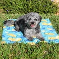 thumbnail image 2 of Vibrant Life Pet Gel Cooling Mat, Multicolor, 2 of 5