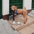 thumbnail image 4 of UPOUART 1 Set Dog Dishes Elevated Black Stainless Steel for Pet Feeding, 4 of 6