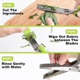 thumbnail image 2 of LUVCOSY 5 Packs Herb Scissors Set - 5 Blades Herb Scissors with Herb Stripping Tool, 2 Packs Herb Cutter Tools with Safe Cover, Cool Kitchen Gadgets for Cutting Fresh Garden Herbs, 2 of 7