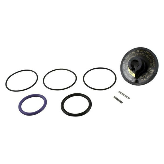Zodiac Jandy O-Ring & Pin Slide for Backwash Valve Rebuild Replacement Kit
