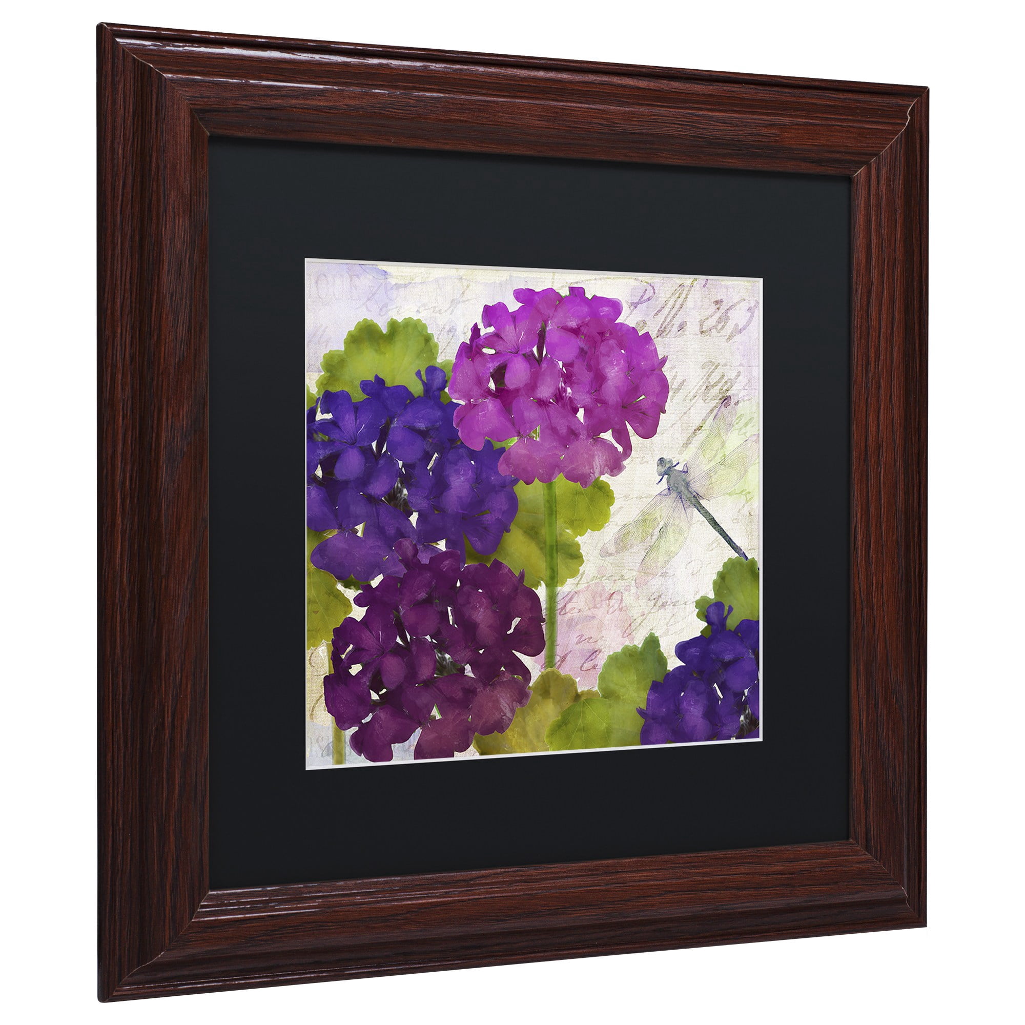 Trademark Fine Art "Gaia II" Canvas Art by Color Bakery, Black Matte, Wood Frame