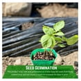 thumbnail image 4 of - Weed Control 4 Mil Black Plastic Sheeting - Heavy Duty Weed Barrier Landscape Fabric for Outdoor Gardens, Non Woven Weed Blocker Fabric, Weed Control (3' x 100'), 4 of 7