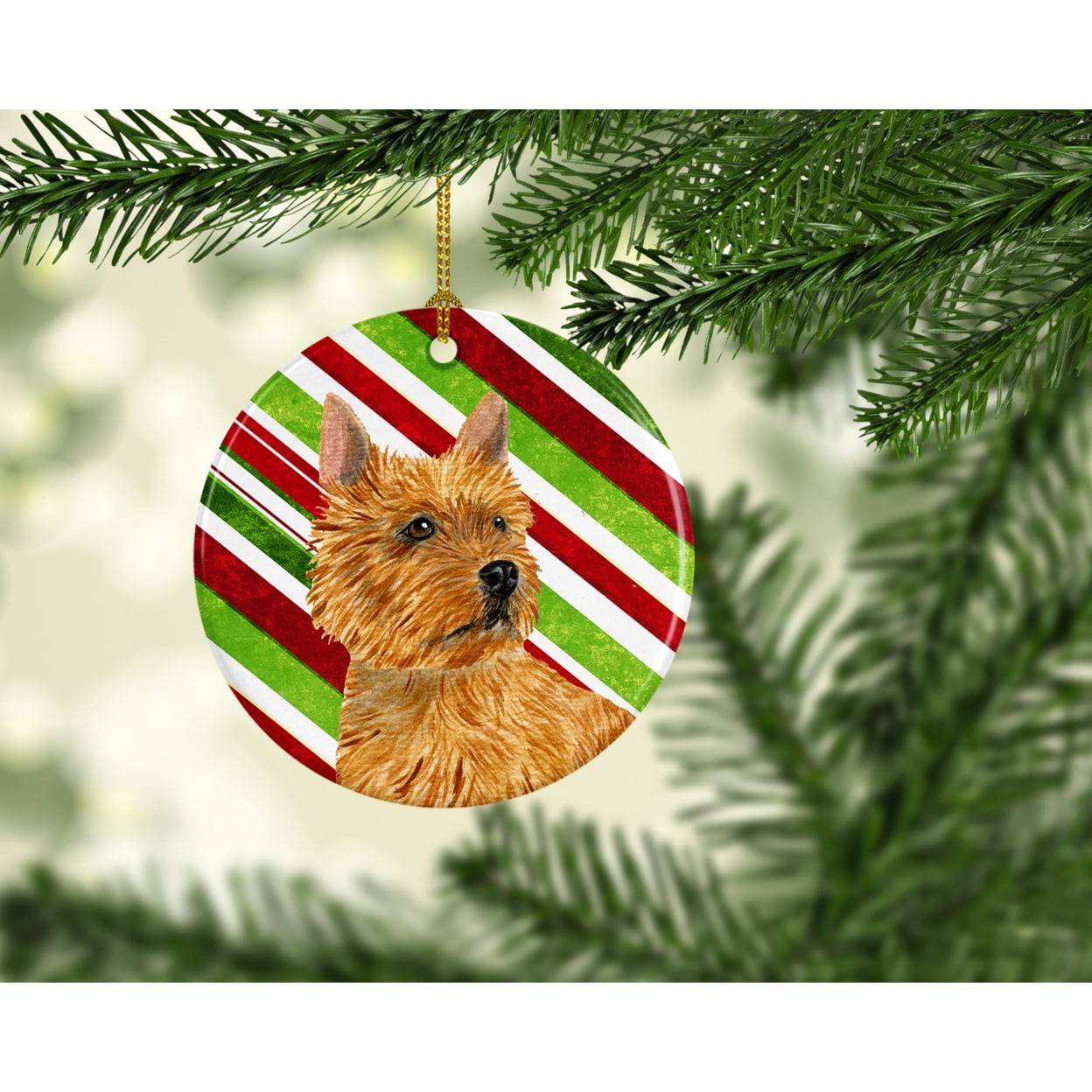 Norwich Terrier Candy Cane Holiday Christmas Ceramic Ornament SS4568