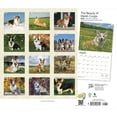 thumbnail image 2 of The Beauty of Welsh Corgis | 2024 14x24" (Hanging) Wall Calendar | StarGifts, 2 of 8