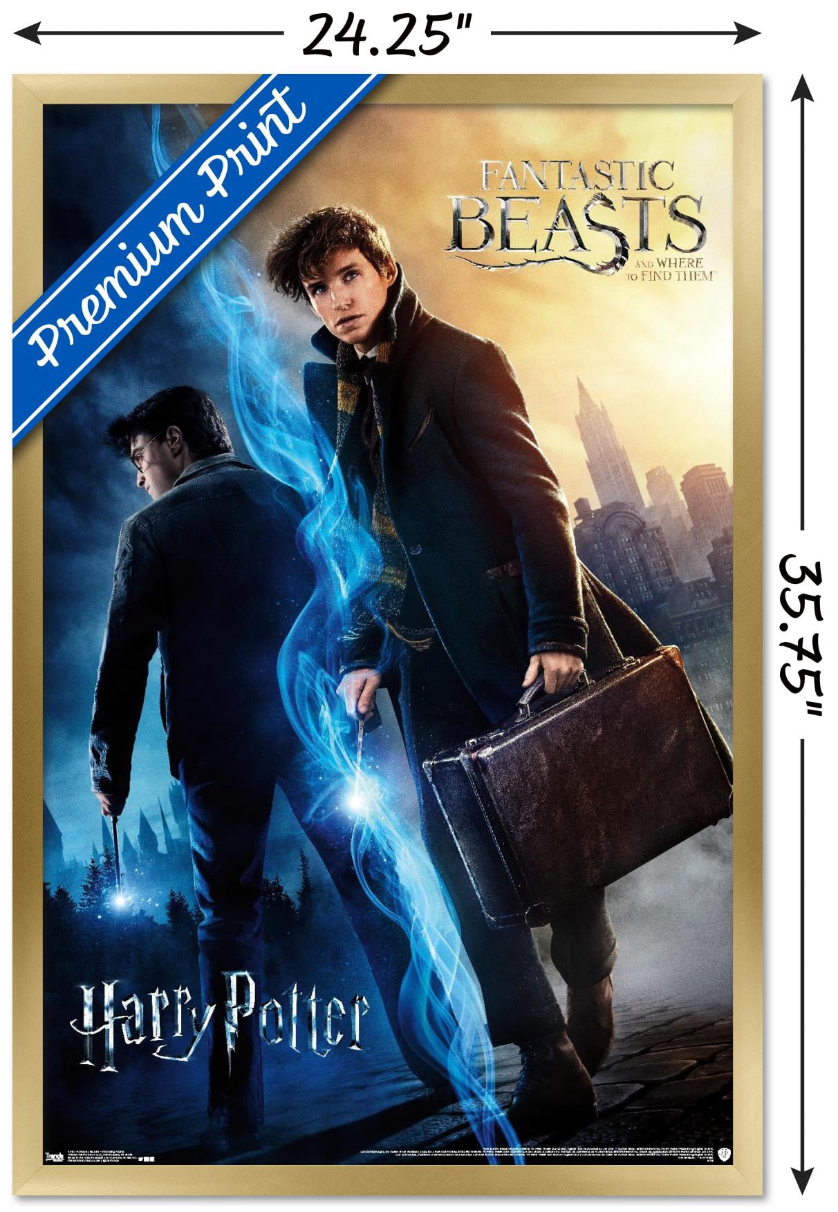 The Wizarding World: Harry Potter and Fantastic Beasts Wall Poster, 22.375" x 34", Framed