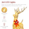 thumbnail image 4 of Best Choice Products XL Lighted Christmas 5ft Reindeer & Sleigh Holiday Outdoor Decor Set w/265 LED Lights - Gold, 4 of 7