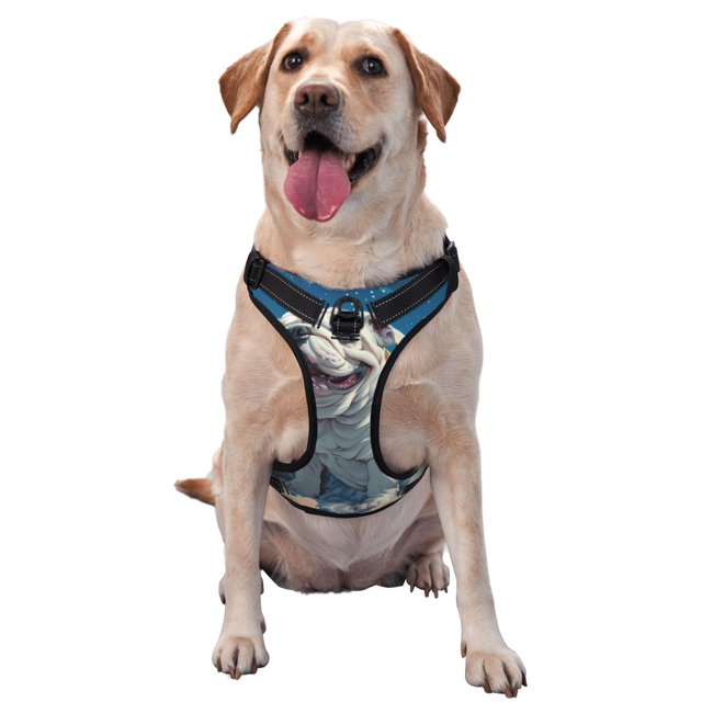 Fotbe Starry Sky Cloud Bulldog Arnés para Perro con Estampado –Chaleco Ajustable Acolchado con Asa de Control para Perros Grandes-Small
