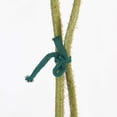 thumbnail image 4 of Flat Polyester Cord Hollow Braid Cord Dark Green 7x1mm 100m/roll, 4 of 7