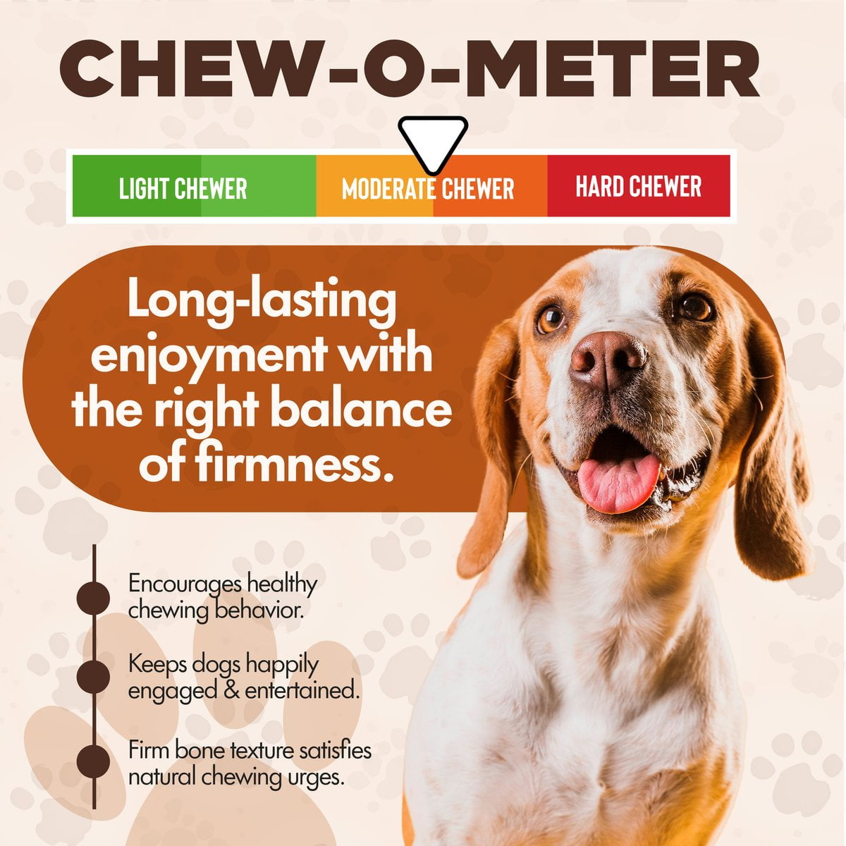 Scoochie Pet Chewka Mixed Variety Pack Bacon, Chicken & Cheese Flavored Plant-Forward Fully Digestible Dog Chew Bone, Medium, 12CT