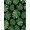 Black, Pattern 4, variant on ODIKA 4x6 Machine Washable Non-Slip Area Rug, Exotic Rainforest Botanical Verdant Leaf High Traffic Rug, Green, 576612