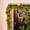 5Ft, variant on Liamobondopolis Artificial Pre-lit Cedar Pine Garland 3.9 Ft, Natural Winter Greenery Vine with Warm Lights for Window Door Frame Home Decor