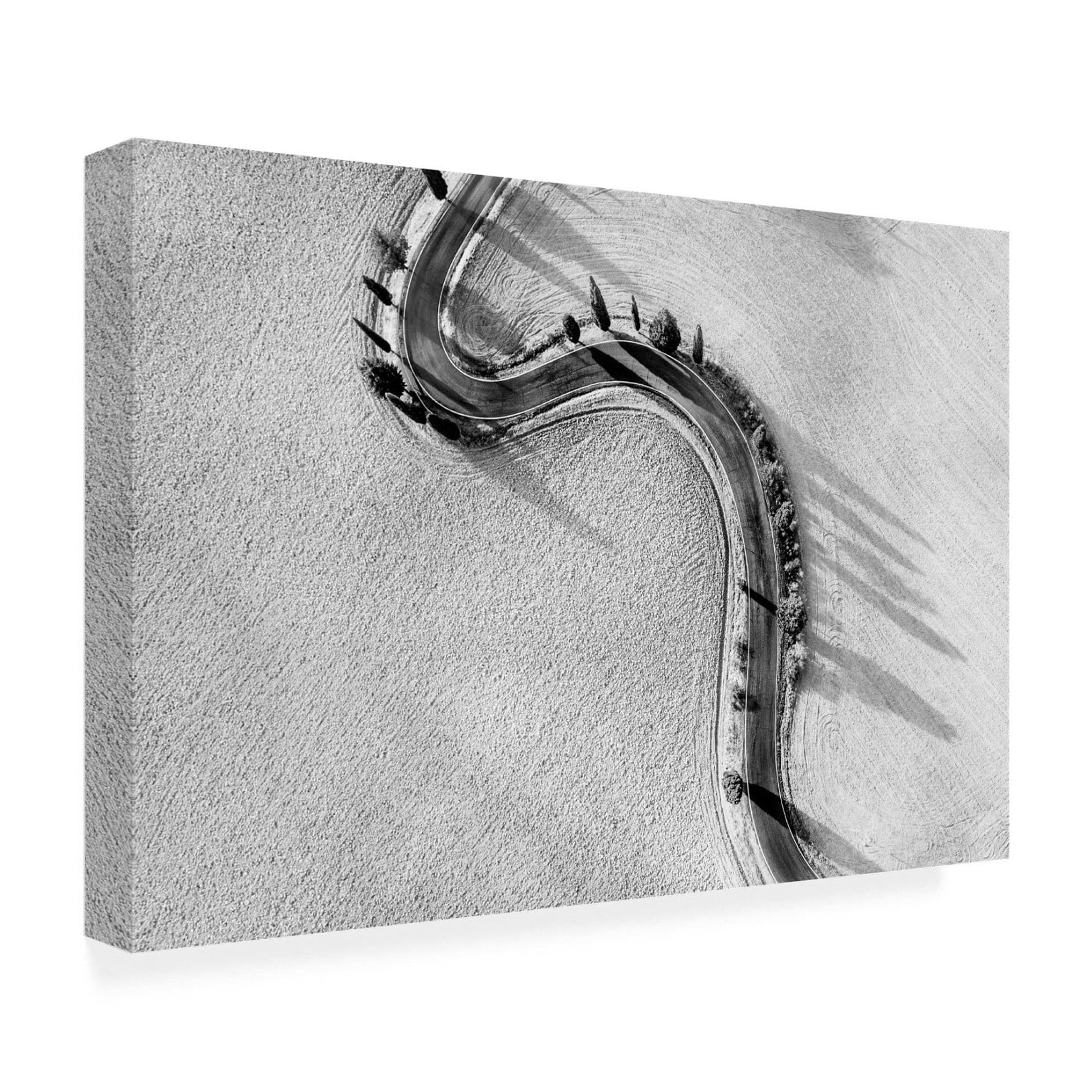 Trademark Fine Art Adam Dauria Monticchellio Canvas Wall Art