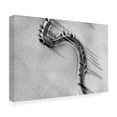 thumbnail image 3 of Trademark Fine Art Adam Dauria Monticchellio Canvas Wall Art, 3 of 4