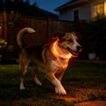 thumbnail image 7 of Goowood Glow Dog Collar Flashing Light Up Dog Collar USB Rechargeable LED Plastic Adjustable Night Safety for Small Medium Large Dogs Collar, 7 of 7