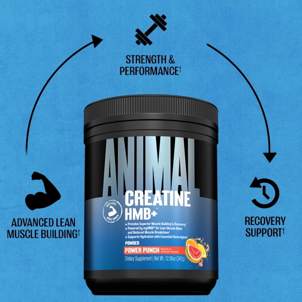 Animal Creatine HMB Powder – 5g Creatine + 3g myHMB with Electrolytes for Lean Muscle, Recovery & Daily Energy – Power Punch Flavor, 30 Servings