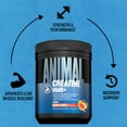 thumbnail image 6 of Animal Creatine HMB Powder – 5g Creatine + 3g myHMB with Electrolytes for Lean Muscle, Recovery & Daily Energy – Power Punch Flavor, 30 Servings, 6 of 6