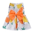 thumbnail image 2 of Cute Dog Dress Small Dog Clothes for Girls Female Puppy Outfits Blue Daisy Pet Summer Clothes Bowknot Doggy Cat Princess Dress Harness Set for Holiday Birthday Party Costume Clothing (Yellow,L), 2 of 6