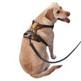 thumbnail image 2 of Haiem Modern Floral Guinea Pig Pattern No-Pull Dog Harness Reflective Front Clip Vest with Handle,Step-in Air Dog Harness,Adjustable 2 Metal Rings 4 Buckles-Medium, 2 of 6
