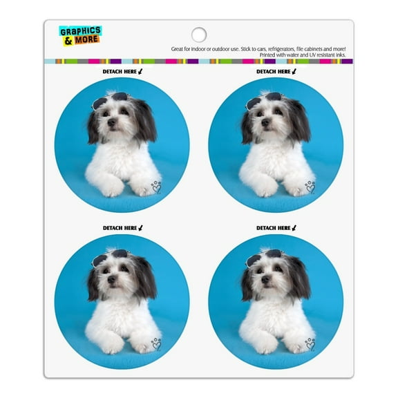 Maltese Papillion Puppy Dog Cool Sunglasses Shades Refrigerator Fridge Locker Vinyl Circle Magnet Set