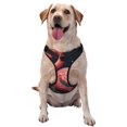 thumbnail image 1 of Kdxio Colorful Floral Flamingo Print No Pull Dog Harness Adjustable Reflective Oxford Easy Control Medium Large Dog Harness for Training and Everyday-X-Large, 1 of 6