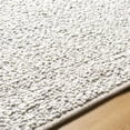 thumbnail image 6 of BoutiqueRugs Priya Traditional, Transitional Area Rug - Light Silver, Pale Slate, Ash - 5' x 7'6", 6 of 8