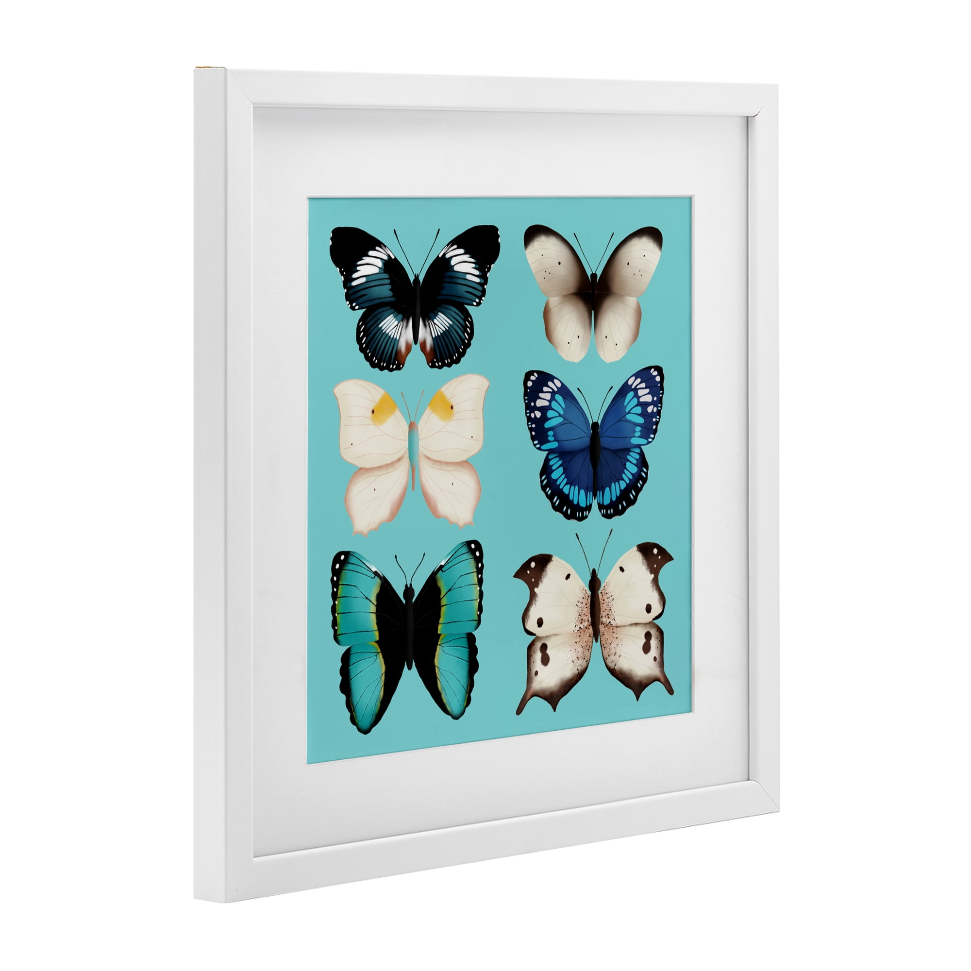 Stupell Industries Six Diverse Butterflies on Turquoise White Framed Print Under Glass, design by Metka Hiti