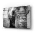 thumbnail image 2 of Epic Art 'Elephant' by Lori Deiter, Acrylic Glass Wall Art, 24"x16", 2 of 9