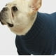 thumbnail image 4 of Jersey Fitwarm para perro, cuello alto, tejido, azul térmico, talla pequeña, 4 of 7