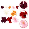thumbnail image 1 of WASHWEPE 10 Pcs Barrettes à Fleurs Femmes Faciles à Porter Fleurs aux Cheveux Rouges pour Magasinage, 1 of 6