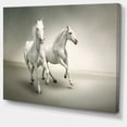 thumbnail image 2 of Fast Moving White Horses - Animal Canvas Art Print, 2 of 3