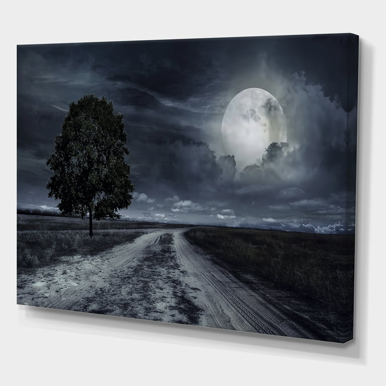 芸術写真 Nature Photograph Full Moon Art Print 芸術写真 Nature Photograph Full Moon Art Print Amazon.com