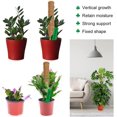 thumbnail image 3 of Paquete de 2 soportes para plantas trepadoras, palo extensible de musgo de coco, 3 of 5