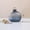 Blue #1, variant on Glass Vase Hydroponic, Minimalist Table Centerpiece Glass for Plant Propagation, Home Decoration Ornament for Living Room Shelf Office Desk