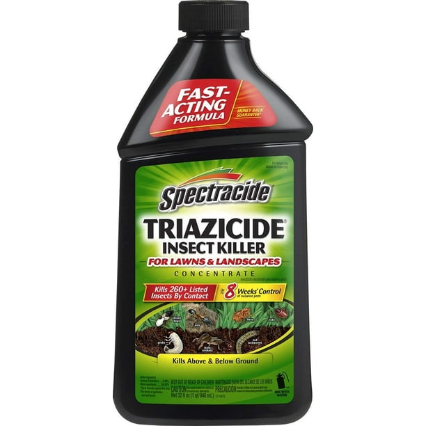 Spectracide Triazicide Insect Killer For Lawns & Landscapes Concentrate ...