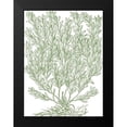 thumbnail image 2 of du Monceau, Duhamel 14x18 Black Modern Framed Museum Art Print Titled - Mossy Branches II, 2 of 5