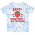 thumbnail image 3 of Inktastic Summer 4th of July Boys or Girls Toddler T-Shirt, 3 of 5
