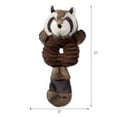 thumbnail image 5 of DII Squirrel & Raccoon Plush Ring With Squeaker Pet Toy (Set of 2), 5 of 8