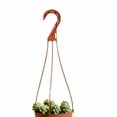 thumbnail image 2 of Burrito Sedum Hanging Succulent in 6" Grower Pot, 2 of 3