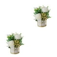 thumbnail image 2 of kurtrusly Artificial Flowers With Vase Add Of Color And Style To Any Room Indoor Pinellia white 2Set, 2 of 6