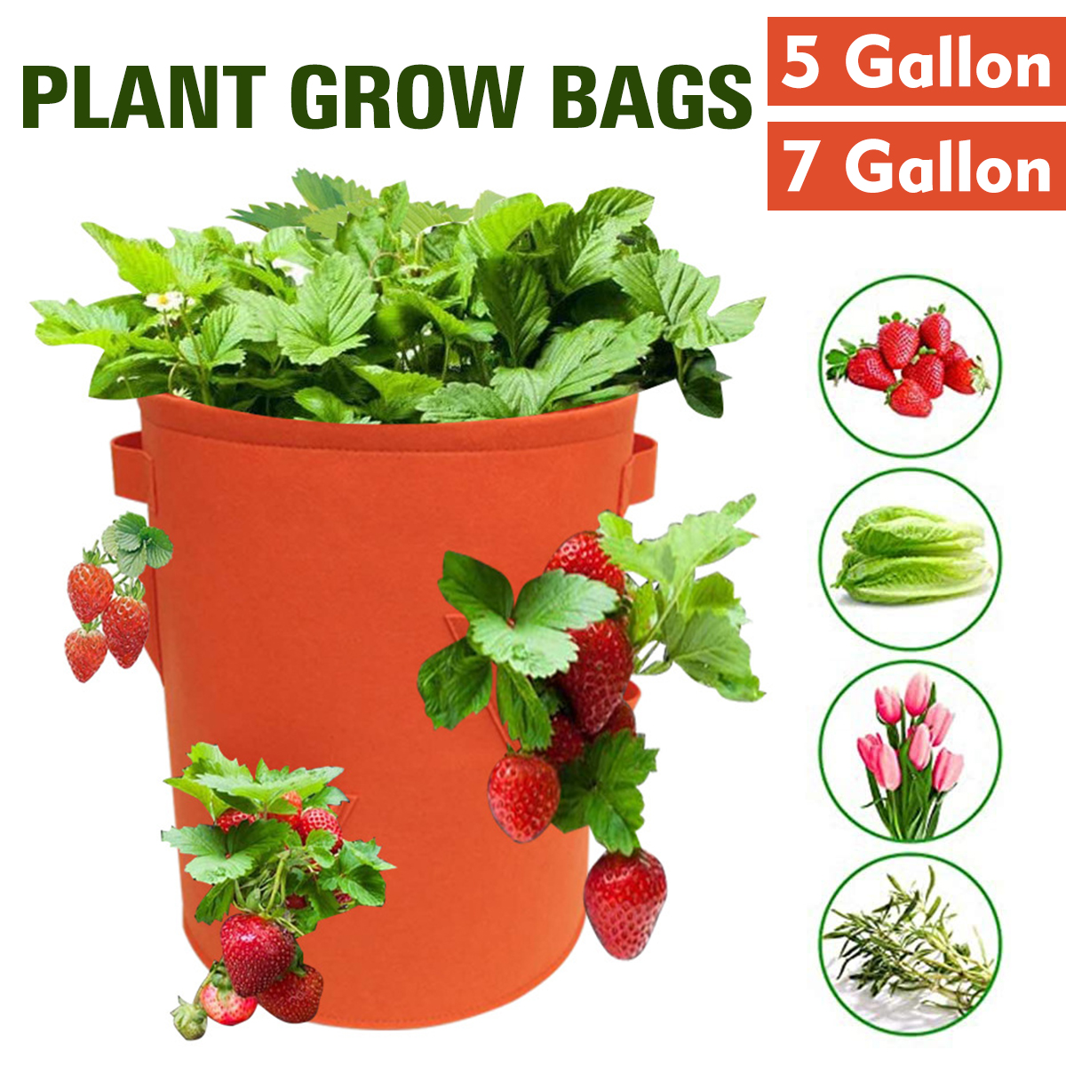 5//7//10 Gallon Planting Grow Bags Vegetable Strawberry Potato Garden Flowe...
