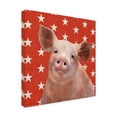 thumbnail image 2 of Trademark Fine Art 'Patriotic Farm III' Canvas Art by Victoria Borges, 2 of 4