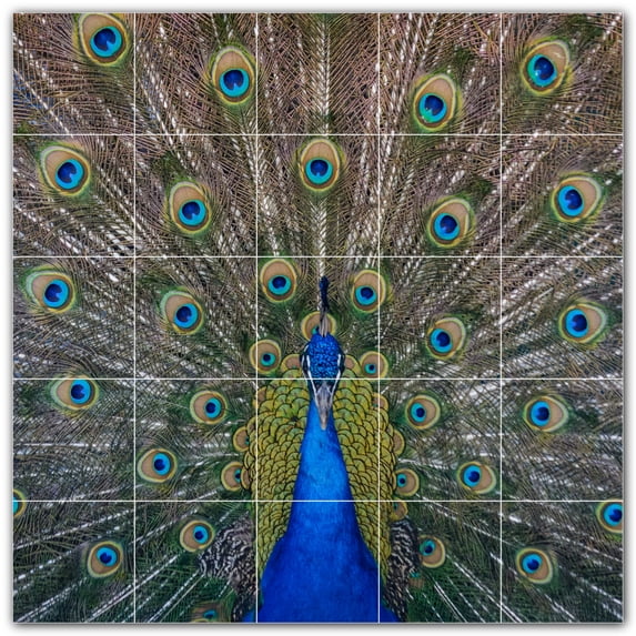 Picture-Tiles.com: Bird Ceramic Tile Wall Mural WAL500212-55XL. 60"W x 60"H using (25) 12" x 12" Ceramic Tiles-Satin Finish