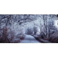 thumbnail image 2 of Frank, Assaf 18x11 Black Ornate Wood Framed with Double Matting Museum Art Print Titled - Frosted road through forest, 2 of 4