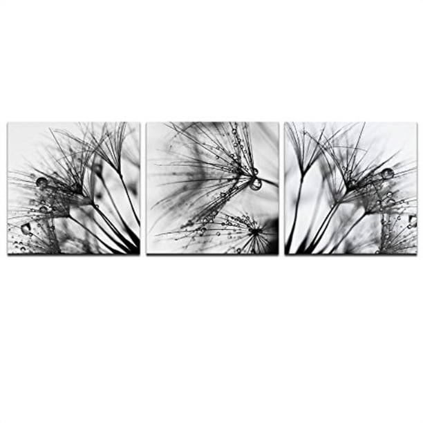 Levvarts Black And White Dandelion Canvas Print Set Of 3 Close Up Dewdrop On Floral Multi Pieces Wall Art Modern Home Wall Decor Ready To Hang 36 W X 12 H Overall