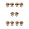 thumbnail image 3 of Guardoinrt 2piece Potted Simulation Plants Adding Beauty And Style To Any Setting Durable Pot Bonsai Ornament pink 5Set, 3 of 6